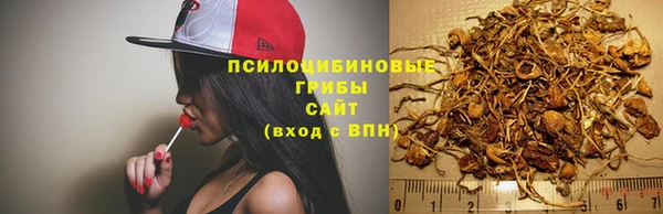 круглые Алексеевка