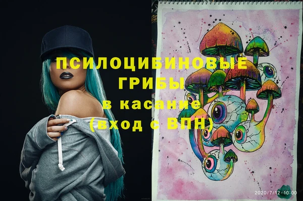 эйфоретик Алексин