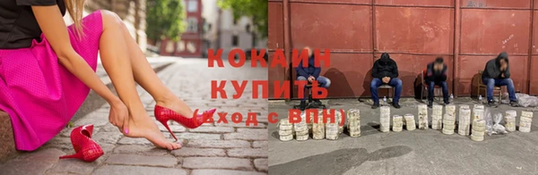 амф Пестово
