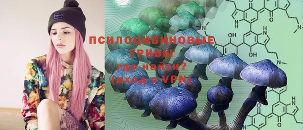 эйфоретик Алексин