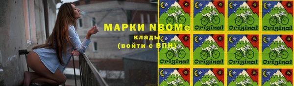шишки Переславль-Залесский