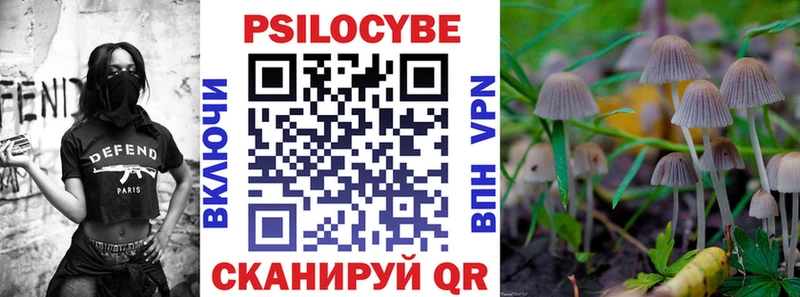 где можно купить   Ясный  Псилоцибиновые грибы MAGIC MUSHROOMS 